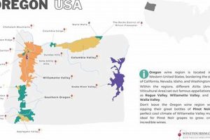 Discover Oregon Wine Country: The Ultimate Wine Map Guide Safem Fabrication - Precision Engineering & Custom Manufacturing Solutions Discover Oregon Wine Country: The Ultimate Wine Map Guide | Safem Fabrication - Precision Engineering & Custom Manufacturing Solutions