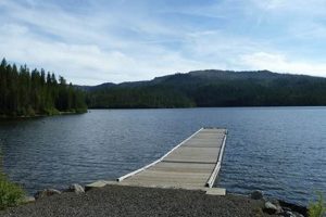 Explore Olive Lake Oregon: A Gem in the Elkhorns! Safem Fabrication - Precision Engineering & Custom Manufacturing Solutions Explore Olive Lake Oregon: A Gem in the Elkhorns! | Safem Fabrication - Precision Engineering & Custom Manufacturing Solutions