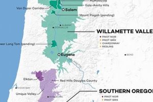 Discover Oregon Wineries: Your Ultimate Wine Map Guide Safem Fabrication - Precision Engineering & Custom Manufacturing Solutions Discover Oregon Wineries: Your Ultimate Wine Map Guide | Safem Fabrication - Precision Engineering & Custom Manufacturing Solutions