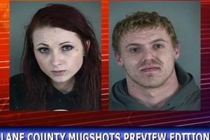 Lane County, OR Mugshots: Find Arrest Records Online Safem Fabrication - Precision Engineering & Custom Manufacturing Solutions Lane County, OR Mugshots: Find Arrest Records Online | Safem Fabrication - Precision Engineering & Custom Manufacturing Solutions