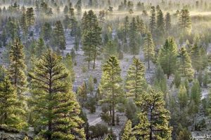 Explore Christmas Valley, Oregon: County's Desert Gem Safem Fabrication - Precision Engineering & Custom Manufacturing Solutions Explore Christmas Valley, Oregon: County's Desert Gem | Safem Fabrication - Precision Engineering & Custom Manufacturing Solutions