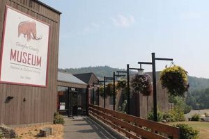 Explore: Douglas County Museum Oregon History & More! Safem Fabrication - Precision Engineering & Custom Manufacturing Solutions Explore: Douglas County Museum Oregon History & More! | Safem Fabrication - Precision Engineering & Custom Manufacturing Solutions