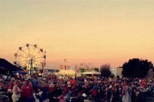 Your Guide: Yamhill County Fairgrounds Oregon - Events & More! Safem Fabrication - Precision Engineering & Custom Manufacturing Solutions Your Guide: Yamhill County Fairgrounds Oregon - Events & More! | Safem Fabrication - Precision Engineering & Custom Manufacturing Solutions