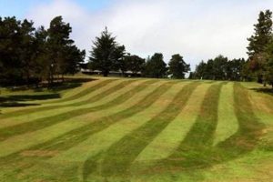 Lincoln County Golf Tournaments: Your Oregon Guide Safem Fabrication - Precision Engineering & Custom Manufacturing Solutions Lincoln County Golf Tournaments: Your Oregon Guide | Safem Fabrication - Precision Engineering & Custom Manufacturing Solutions