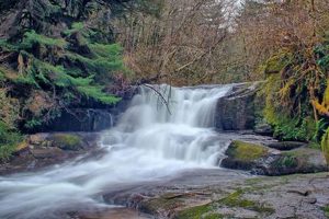 Explore Alsea Oregon County: Your Guide + More! Safem Fabrication - Precision Engineering & Custom Manufacturing Solutions Explore Alsea Oregon County: Your Guide + More! | Safem Fabrication - Precision Engineering & Custom Manufacturing Solutions