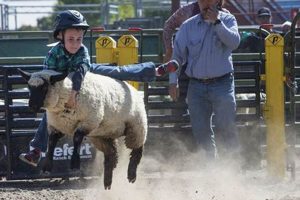 Your Crook County Fair Oregon Guide: Fun & Events Safem Fabrication - Precision Engineering & Custom Manufacturing Solutions Your Crook County Fair Oregon Guide: Fun & Events | Safem Fabrication - Precision Engineering & Custom Manufacturing Solutions