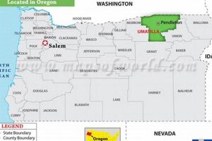Find Umatilla County Oregon Jobs: Openings & Careers! Safem Fabrication - Precision Engineering & Custom Manufacturing Solutions Find Umatilla County Oregon Jobs: Openings & Careers! | Safem Fabrication - Precision Engineering & Custom Manufacturing Solutions