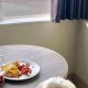 Your Guide to Pet-Friendly Oceanfront Hotels on the Oregon Coast! | Living in Oregon: Moving Tips, Cost of Living & Best Cities