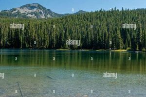 Discover Timpanogas Lake Oregon: A Gem in the Cascades Living in Oregon: Moving Tips, Cost of Living & Best Cities Discover Timpanogas Lake Oregon: A Gem in the Cascades | Living in Oregon: Moving Tips, Cost of Living & Best Cities