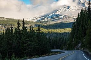 Travel Guide: How to Get To Bend, Oregon (Easily!) Living in Oregon: Moving Tips, Cost of Living & Best Cities Travel Guide: How to Get To Bend, Oregon (Easily!) | Living in Oregon: Moving Tips, Cost of Living & Best Cities