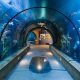 Oregon Coast Aquarium: Ticket Price Guide + Deals | Living in Oregon: Moving Tips, Cost of Living & Best Cities