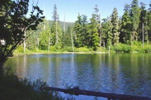 Explore Plaza Lake Oregon: A Guide to Nature's Gem Living in Oregon: Moving Tips, Cost of Living & Best Cities Explore Plaza Lake Oregon: A Guide to Nature's Gem | Living in Oregon: Moving Tips, Cost of Living & Best Cities