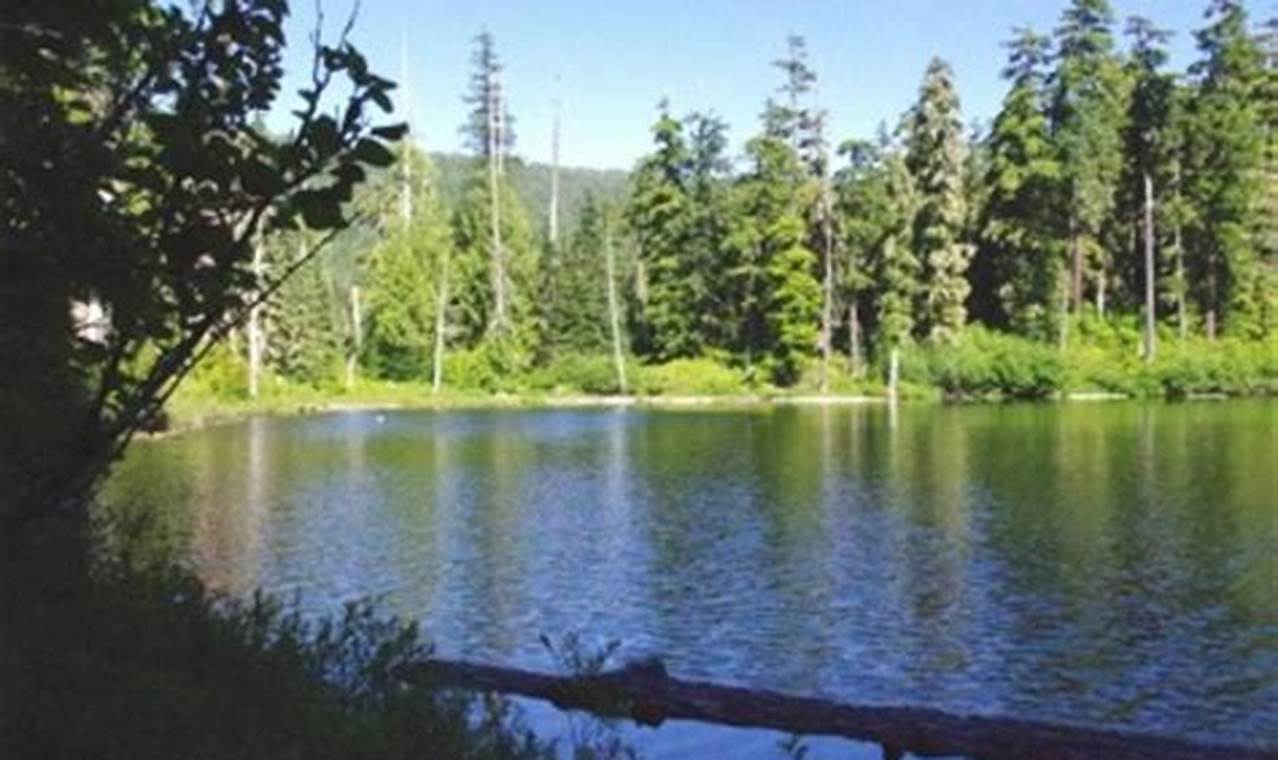 Explore Plaza Lake Oregon: A Guide to Nature's Gem Living in Oregon: Moving Tips, Cost of Living & Best Cities Explore Plaza Lake Oregon: A Guide to Nature's Gem | Living in Oregon: Moving Tips, Cost of Living & Best Cities
