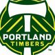 Pro & Amateur: Portland Oregon Sports Teams Guide | Living in Oregon: Moving Tips, Cost of Living & Best Cities