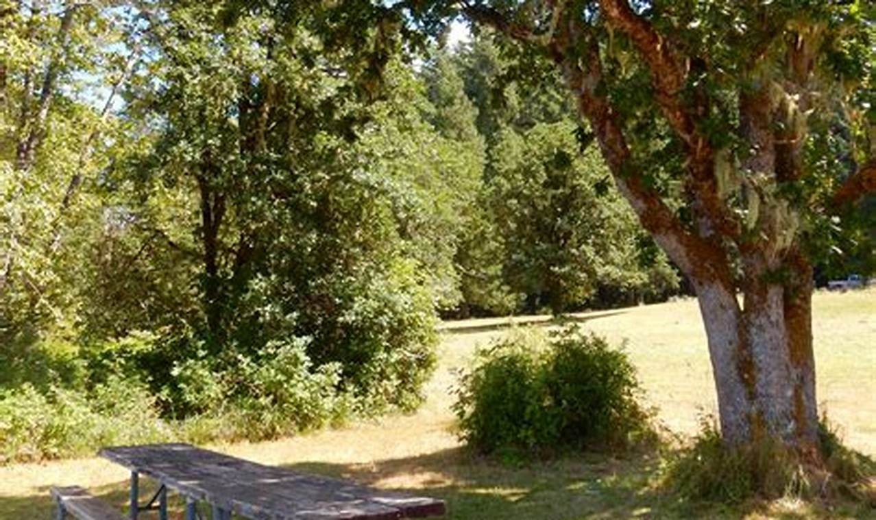 Visit Baker Bay Park Oregon: Your Coastal Escape Living in Oregon: Moving Tips, Cost of Living & Best Cities Visit Baker Bay Park Oregon: Your Coastal Escape | Living in Oregon: Moving Tips, Cost of Living & Best Cities