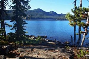 Waldo Lake Weather Oregon: Your Complete Guide Living in Oregon: Moving Tips, Cost of Living & Best Cities Waldo Lake Weather Oregon: Your Complete Guide | Living in Oregon: Moving Tips, Cost of Living & Best Cities