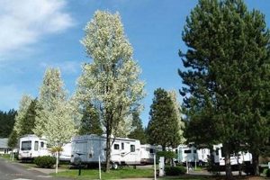 Find RV Parks in Wilsonville, Oregon: Your Best Spots! Living in Oregon: Moving Tips, Cost of Living & Best Cities Find RV Parks in Wilsonville, Oregon: Your Best Spots! | Living in Oregon: Moving Tips, Cost of Living & Best Cities