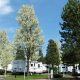 Find RV Parks in Wilsonville, Oregon: Your Best Spots! | Living in Oregon: Moving Tips, Cost of Living & Best Cities
