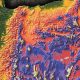 Oregon Topo Map Guide: Explore + Download! | Living in Oregon: Moving Tips, Cost of Living & Best Cities
