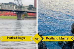 Portland vs Oregon: Bridging the Divide in the Beaver State Living in Oregon: Moving Tips, Cost of Living & Best Cities Portland vs Oregon: Bridging the Divide in the Beaver State | Living in Oregon: Moving Tips, Cost of Living & Best Cities