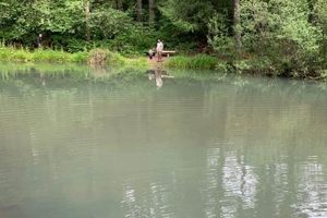 Discover Small Fry Lake Oregon: A Hidden Gem Living in Oregon: Moving Tips, Cost of Living & Best Cities Discover Small Fry Lake Oregon: A Hidden Gem | Living in Oregon: Moving Tips, Cost of Living & Best Cities