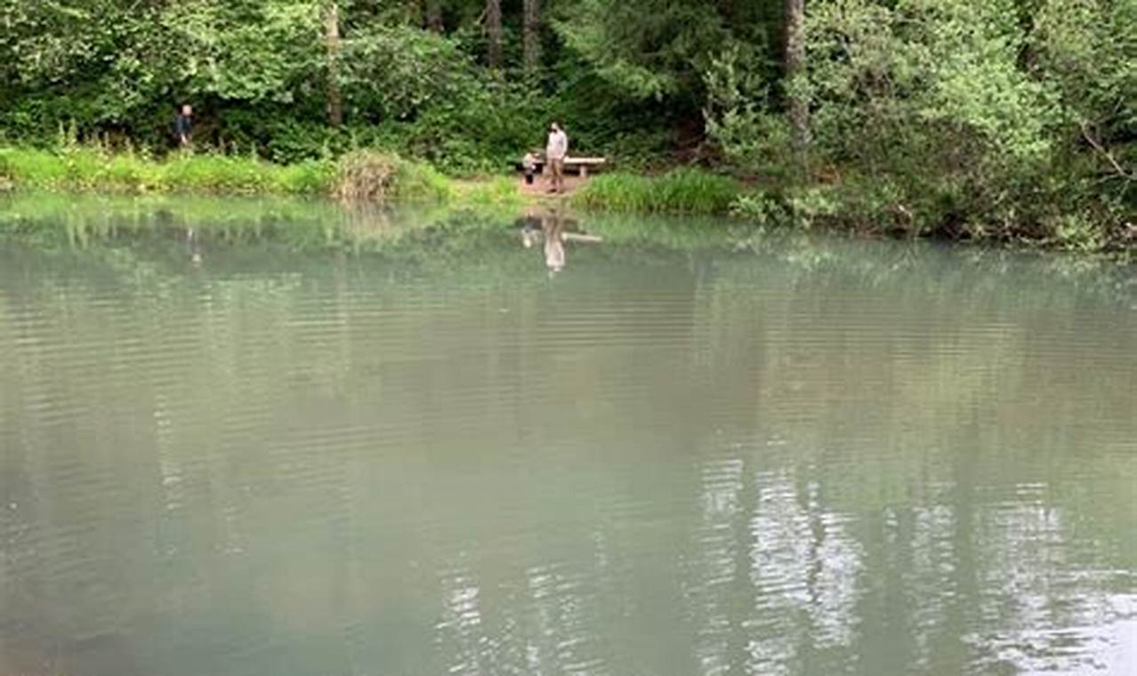 Discover Small Fry Lake Oregon: A Hidden Gem Living in Oregon: Moving Tips, Cost of Living & Best Cities Discover Small Fry Lake Oregon: A Hidden Gem | Living in Oregon: Moving Tips, Cost of Living & Best Cities
