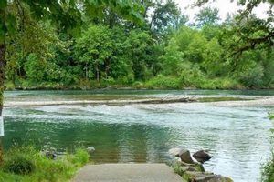 Explore: Lane County Oregon Parks Camping Guide! Living in Oregon: Moving Tips, Cost of Living & Best Cities Explore: Lane County Oregon Parks Camping Guide! | Living in Oregon: Moving Tips, Cost of Living & Best Cities