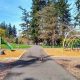 Explore Bowman Woods Park in Beaverton, OR | Nature Awaits! | Living in Oregon: Moving Tips, Cost of Living & Best Cities