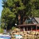 Discover Lake of the Woods Oregon Cabins for Sale - Your Dream Awaits! | Living in Oregon: Moving Tips, Cost of Living & Best Cities