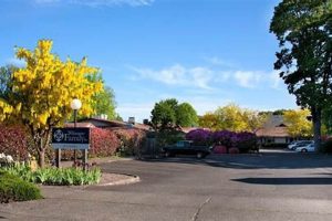 Willamette Family Eugene Oregon: Life, Guide & Resources Safem Fabrication - Precision Engineering & Custom Manufacturing Solutions Willamette Family Eugene Oregon: Life, Guide & Resources | Safem Fabrication - Precision Engineering & Custom Manufacturing Solutions