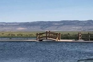 Burns, OR: Best Pet Friendly Hotels Near You Living in Oregon: Moving Tips, Cost of Living & Best Cities Burns, OR: Best Pet Friendly Hotels Near You | Living in Oregon: Moving Tips, Cost of Living & Best Cities