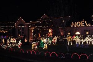 Shine Bright: Christmas Lights Eugene Oregon Guide Living in Oregon: Moving Tips, Cost of Living & Best Cities Shine Bright: Christmas Lights Eugene Oregon Guide | Living in Oregon: Moving Tips, Cost of Living & Best Cities