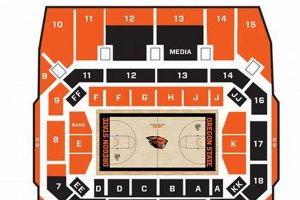 Your Guide: Oregon State Basketball Tickets & More Living in Oregon: Moving Tips, Cost of Living & Best Cities Your Guide: Oregon State Basketball Tickets & More | Living in Oregon: Moving Tips, Cost of Living & Best Cities