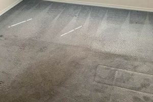 Expert Rug Cleaning Bend Oregon: Prices & Care Tips Living in Oregon: Moving Tips, Cost of Living & Best Cities Expert Rug Cleaning Bend Oregon: Prices & Care Tips | Living in Oregon: Moving Tips, Cost of Living & Best Cities