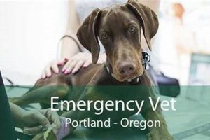 24/7 Emergency Vet Portland, OR: Fast Pet Care Living in Oregon: Moving Tips, Cost of Living & Best Cities 24/7 Emergency Vet Portland, OR: Fast Pet Care | Living in Oregon: Moving Tips, Cost of Living & Best Cities