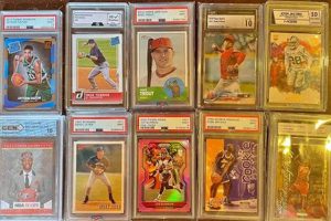 Sports Cards Portland Oregon Living in Oregon: Moving Tips, Cost of Living & Best Cities Sports Cards Portland Oregon | Living in Oregon: Moving Tips, Cost of Living & Best Cities