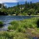 Visit River Forks Park Roseburg, OR: Your Nature Escape | Living in Oregon: Moving Tips, Cost of Living & Best Cities