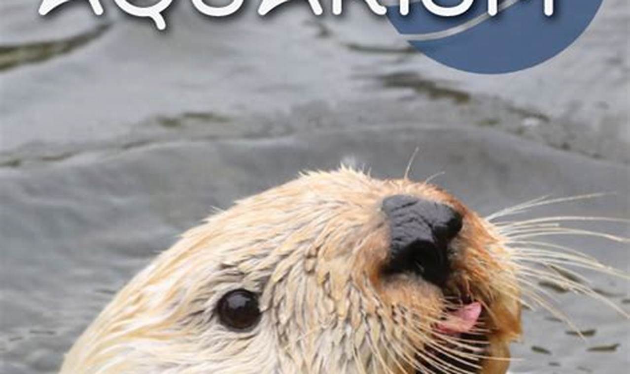 Get Oregon Coast Aquarium Discount Tickets Now! Living in Oregon: Moving Tips, Cost of Living & Best Cities Get Oregon Coast Aquarium Discount Tickets Now! | Living in Oregon: Moving Tips, Cost of Living & Best Cities
