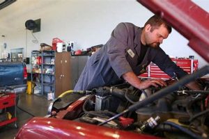 Oregon Fuel Injection Eugene: Pro Service & Repair Near You Living in Oregon: Moving Tips, Cost of Living & Best Cities Oregon Fuel Injection Eugene: Pro Service & Repair Near You | Living in Oregon: Moving Tips, Cost of Living & Best Cities