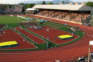Eugene's Youth Track & Field: Future Stars Oregon! Safem Fabrication - Precision Engineering & Custom Manufacturing Solutions Eugene's Youth Track & Field: Future Stars Oregon! | Safem Fabrication - Precision Engineering & Custom Manufacturing Solutions