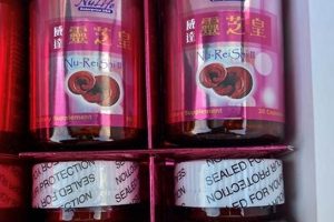 Traditional Chinese Medicine Portland Oregon Living in Oregon: Moving Tips, Cost of Living & Best Cities Traditional Chinese Medicine Portland Oregon | Living in Oregon: Moving Tips, Cost of Living & Best Cities