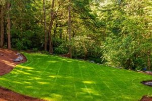Expert Lawn Care in Eugene, OR: Tips & Services Living in Oregon: Moving Tips, Cost of Living & Best Cities Expert Lawn Care in Eugene, OR: Tips & Services | Living in Oregon: Moving Tips, Cost of Living & Best Cities