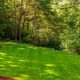 Expert Lawn Care in Eugene, OR: Tips & Services | Living in Oregon: Moving Tips, Cost of Living & Best Cities