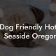 Your Guide: Pet Friendly Hotels in Salem, OR + Tips | Living in Oregon: Moving Tips, Cost of Living & Best Cities