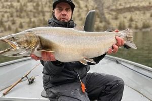 Plan Your Trip: Fishing Lake Billy Chinook, Oregon Guide Living in Oregon: Moving Tips, Cost of Living & Best Cities Plan Your Trip: Fishing Lake Billy Chinook, Oregon Guide | Living in Oregon: Moving Tips, Cost of Living & Best Cities