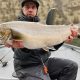 Plan Your Trip: Fishing Lake Billy Chinook, Oregon Guide | Living in Oregon: Moving Tips, Cost of Living & Best Cities