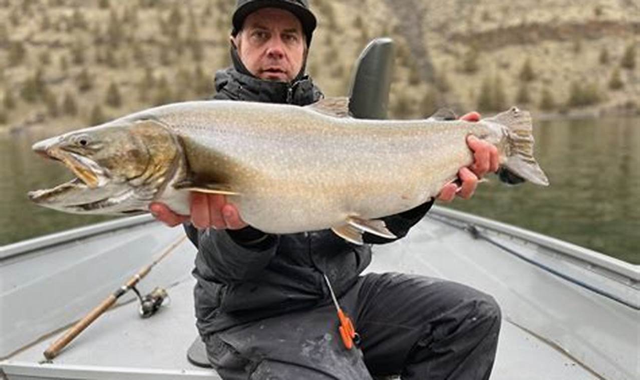 Plan Your Trip: Fishing Lake Billy Chinook, Oregon Guide Living in Oregon: Moving Tips, Cost of Living & Best Cities Plan Your Trip: Fishing Lake Billy Chinook, Oregon Guide | Living in Oregon: Moving Tips, Cost of Living & Best Cities