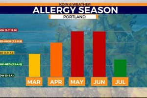 Portland Allergies: Causes, Relief & Treatment Oregon Living in Oregon: Moving Tips, Cost of Living & Best Cities Portland Allergies: Causes, Relief & Treatment Oregon | Living in Oregon: Moving Tips, Cost of Living & Best Cities