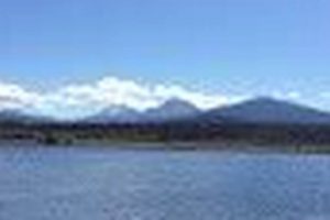 Lila in Eugene, OR: A Local's Impact & Guide Living in Oregon: Moving Tips, Cost of Living & Best Cities Lila in Eugene, OR: A Local's Impact & Guide | Living in Oregon: Moving Tips, Cost of Living & Best Cities