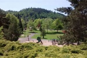 Visit Gresham, Oregon's Main City Park: Your Guide Living in Oregon: Moving Tips, Cost of Living & Best Cities Visit Gresham, Oregon's Main City Park: Your Guide | Living in Oregon: Moving Tips, Cost of Living & Best Cities
